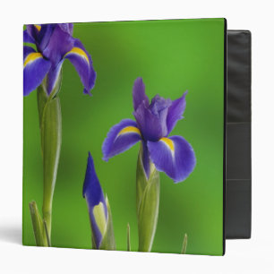 Iris Flowers Binder