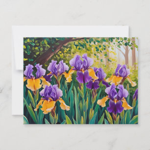 Iris Flowers Blooming in Summer Garden  Postcard
