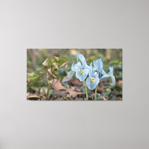 Iris Flowers Canvas Print