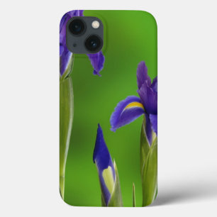 Iris Flowers iPhone 13 Case