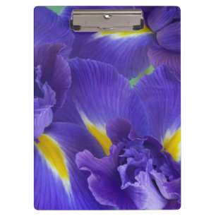 Iris flowers clipboard