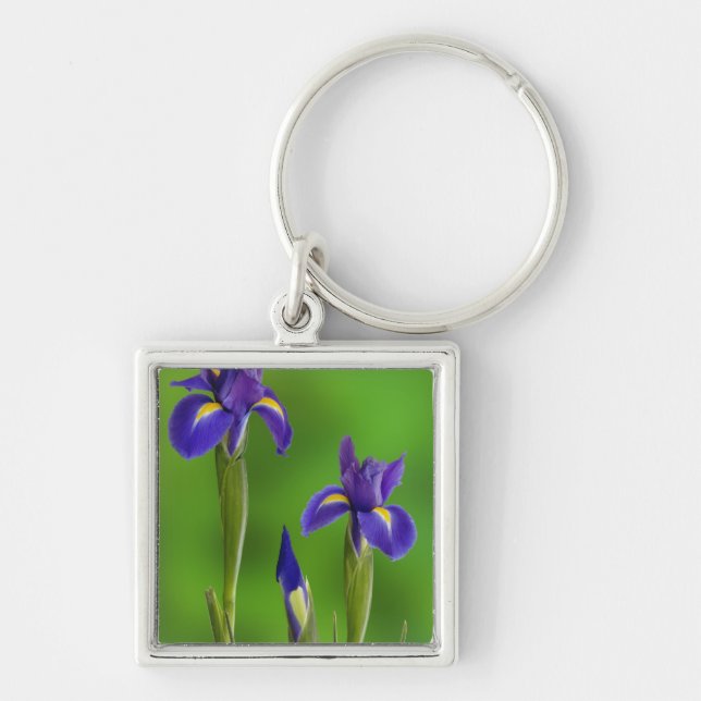 Iris Flowers Keychain (Front)
