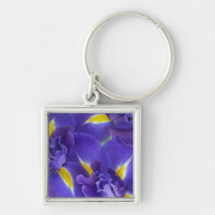 Iris flowers keychain