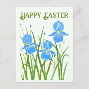 Iris Flowers Postcard