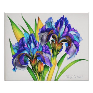 Iris flowers, the beautiful spring flowers photo print