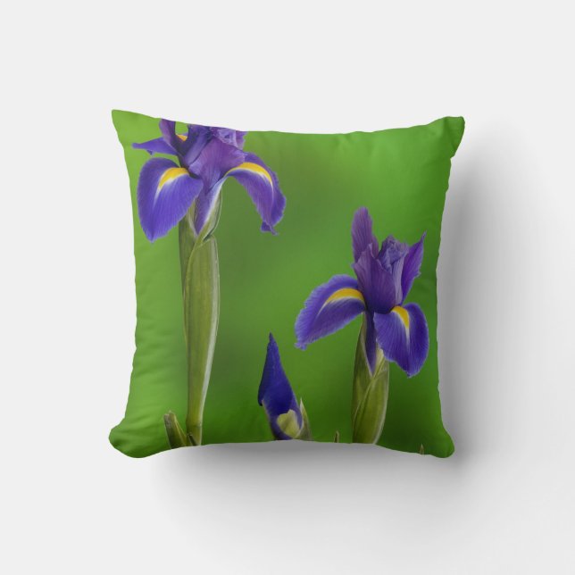 Iris Flowers Throw Pillow (Front)