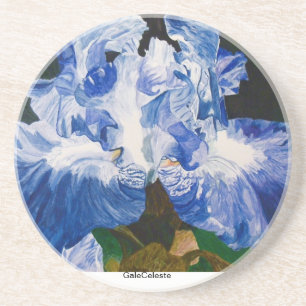 Iris, GaleCeleste Coaster