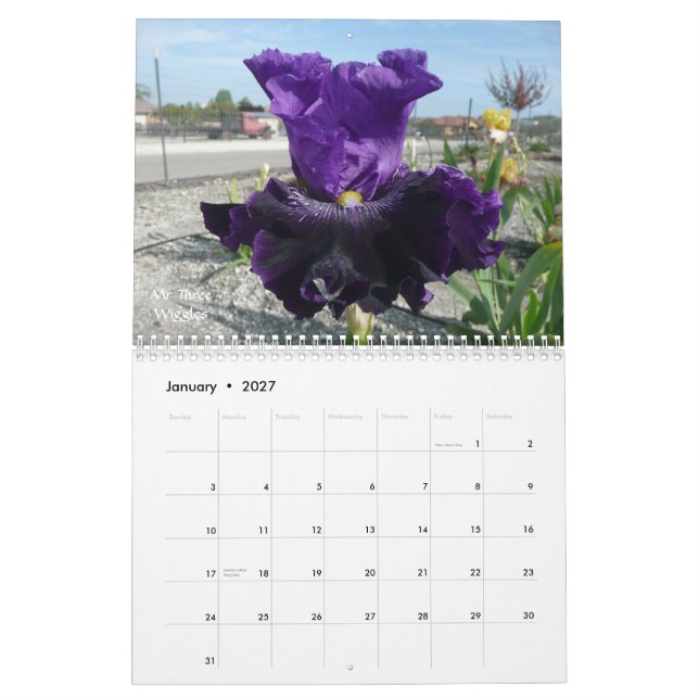 IRIS GARDEN 2012 CALENDAR (Jan 2027)