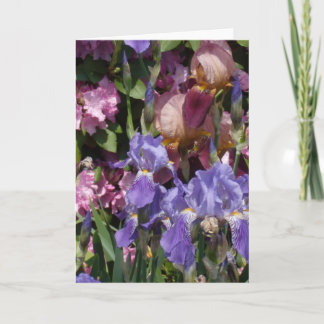 Iris Garden Purple Blue Pink Card