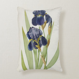 Iris Germanica, from `Les Liliacees', 1805 Accent Pillow