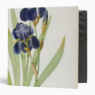 Iris Germanica, from `Les Liliacees', 1805 Binder