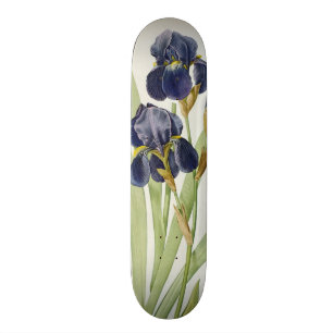 Iris Germanica, from `Les Liliacees', 1805 Skateboard