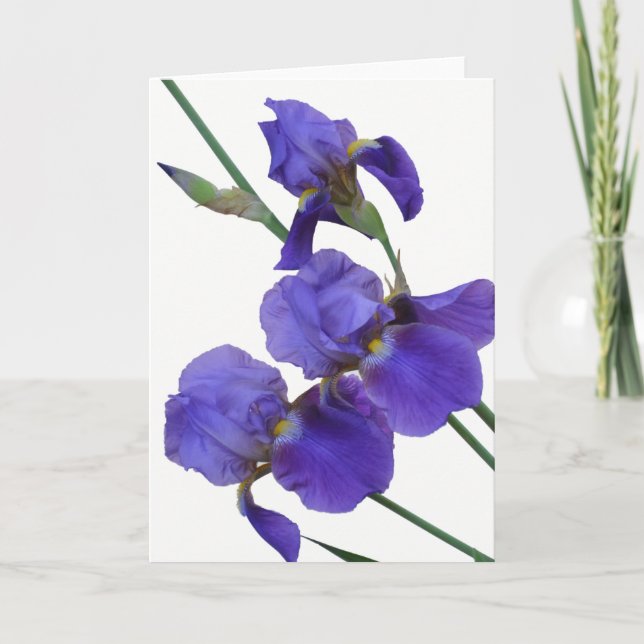 Iris Greeting Card (blank inside) (Front)