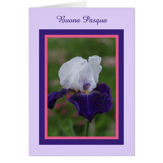 Iris Happy Easter in Italian -- Buona Pasqua Card