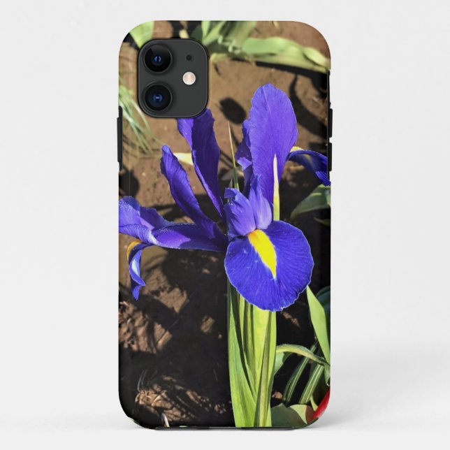 Iris in a Tulip Field, Woodburn, Oregon Case-Mate iPhone Case (Back)