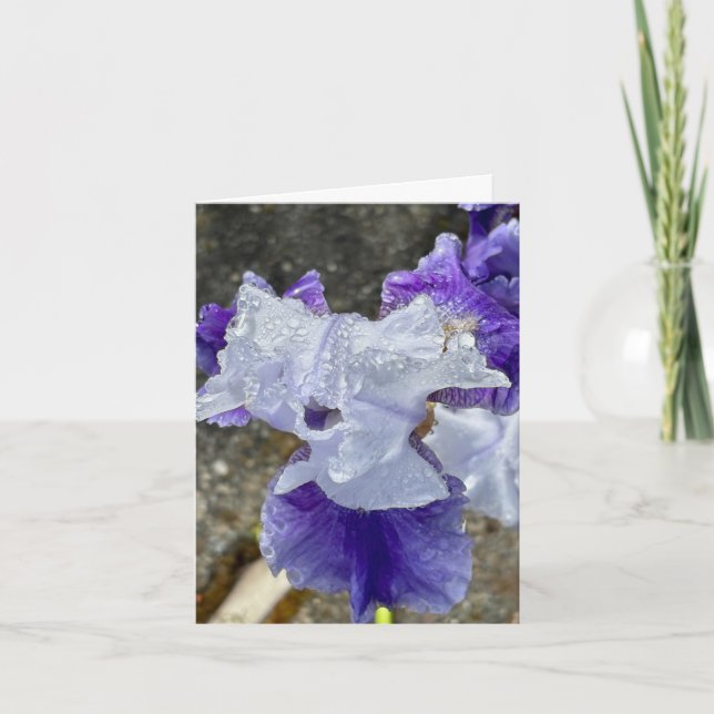 Iris in the Dew Thank You Card (Front)