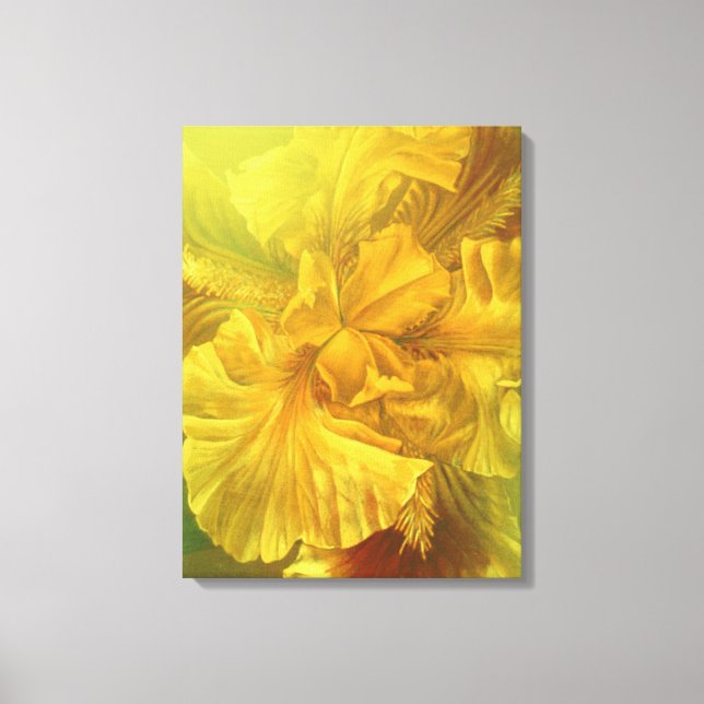 Iris inner beauty warm yellow art canvas print (Front)