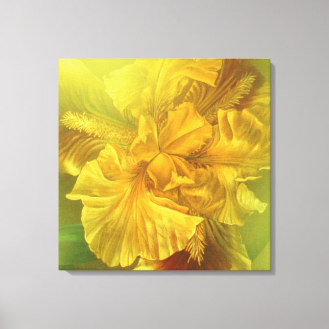 Iris inner beauty (warm yellow) square canvas (Front)