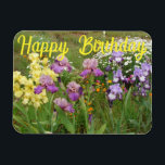 Iris irises floral Flowers Cottage Garden Birthday Magnet<br><div class="desc">Yellow Bearded Iris floral Flowers Birthday Card. Designed from one of original floral photo from my garden.</div>