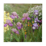 Iris irises floral Flowers Cottage Garden Birthday Tile<br><div class="desc">Yellow Bearded Iris floral Flowers Birthday Card. Designed from one of original floral photo from my garden.</div>