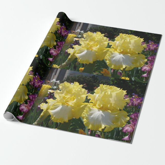 Iris irises flowers Yellow White Bearded floral Wrapping Paper (Unrolled)