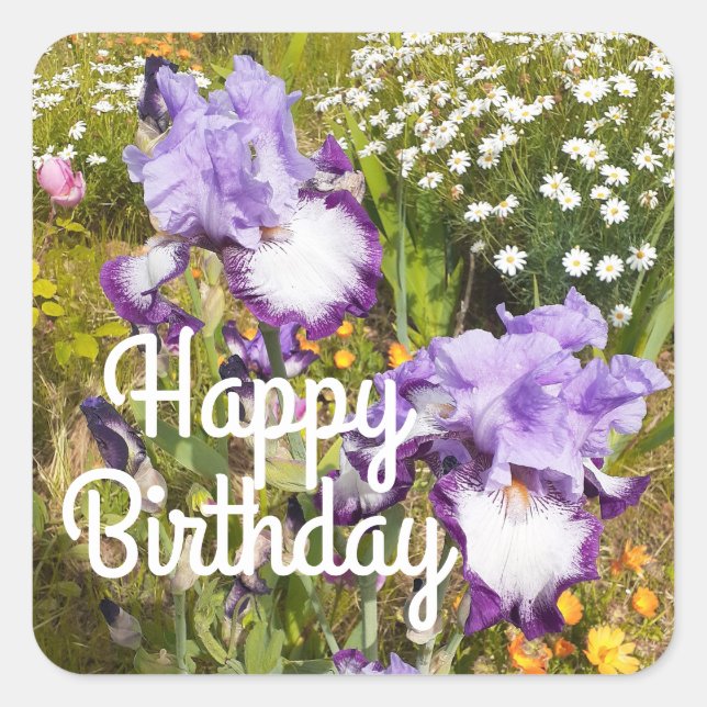 Iris Irises Purple Flower Floral Lavender Square Sticker (Front)