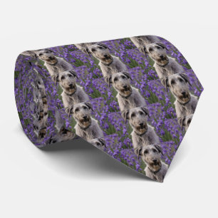 Iris Irish Wolfhound, Tie