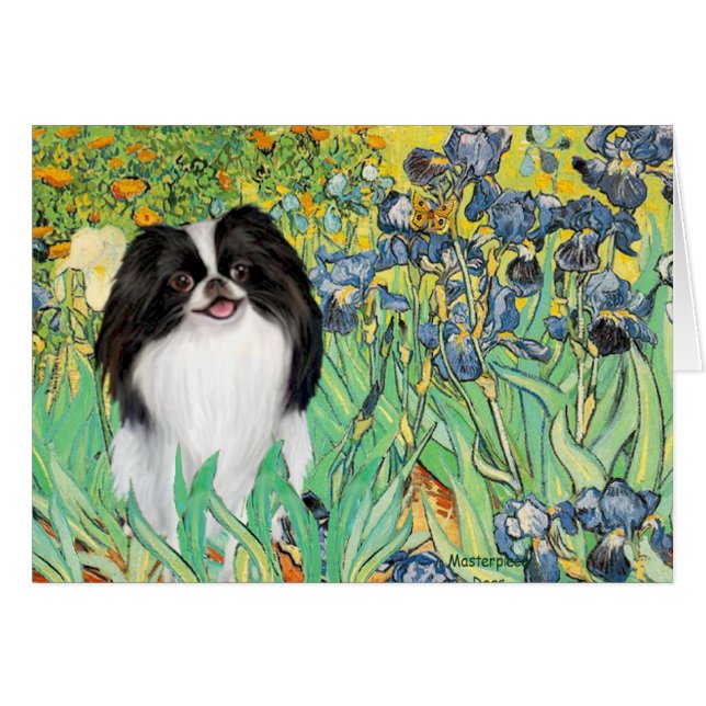 Iris - Japanese Chin 3 (Devant horizontal)