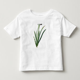 Iris Luxiana, from `Les Liliacees', 1805 Toddler T-shirt
