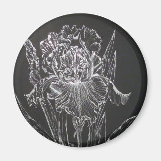 Iris Magnet