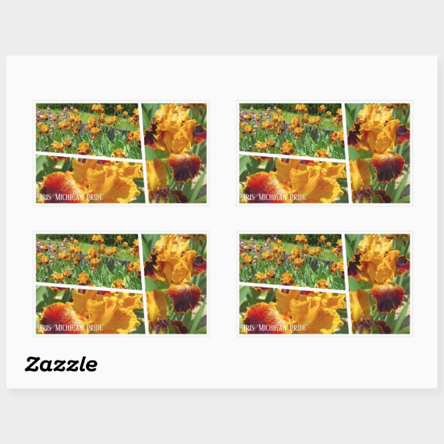 Iris ‘Michigan Pride’ [Rectangle Seal] 長方形シール Sticker (Sheet)