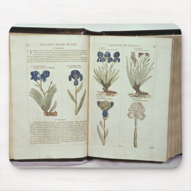 Iris Mouse Pad (Front)