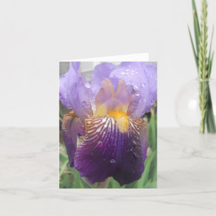 Iris note card