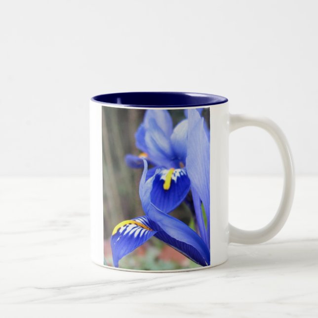 iris petals two-toned ceramic mug (Right)