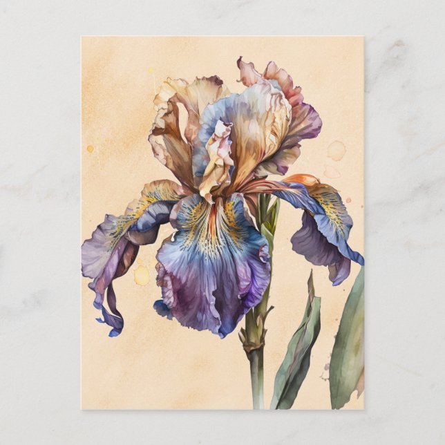 Iris Postcard (Front)