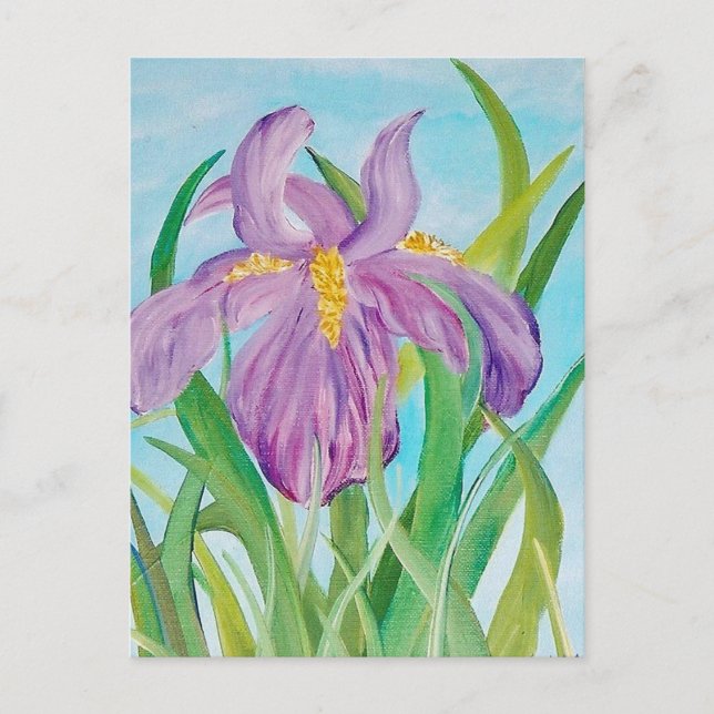 Iris Postcard (Front)