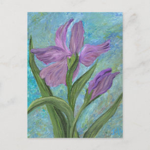 Iris Postcard