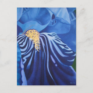 Iris Postcard