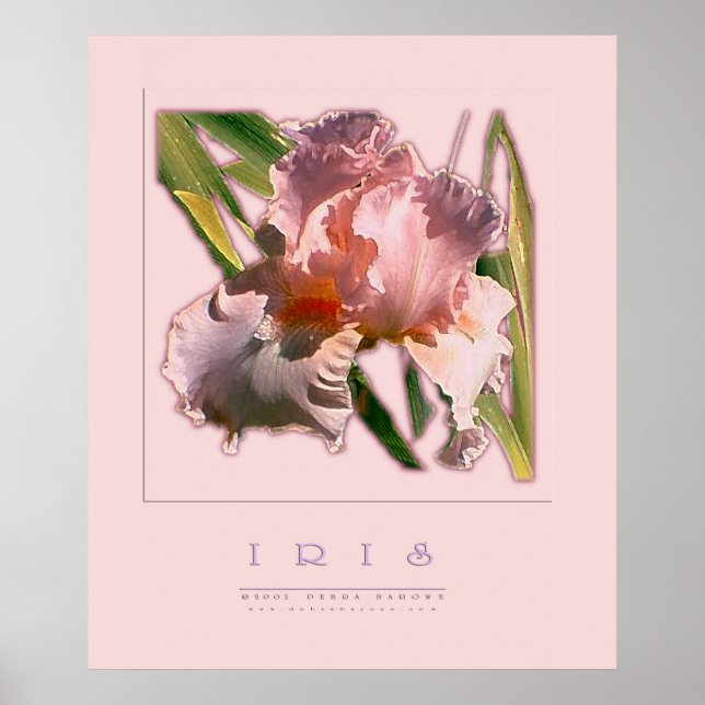 IRIS POSTER (Front)