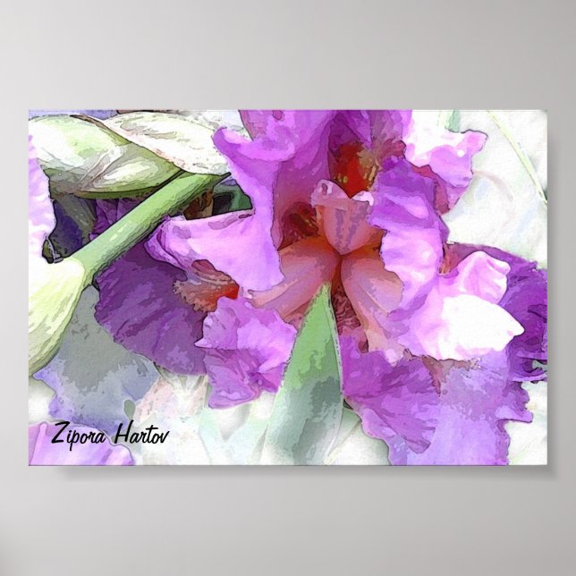 Iris Poster (Front)