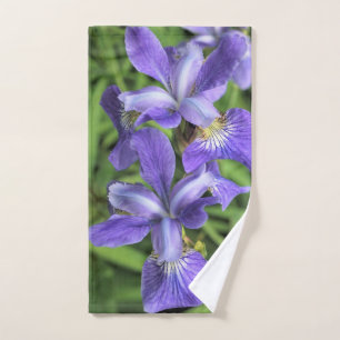 Iris pourpre