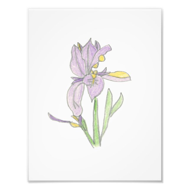Iris Print (Front)