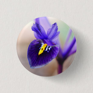 Iris Reticulata Flower Badge 1 Inch Round Button