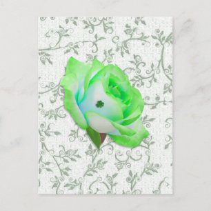 Iris Rose and Shamrock! Postcard