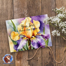 Iris Schwertlilie - watercolor design |