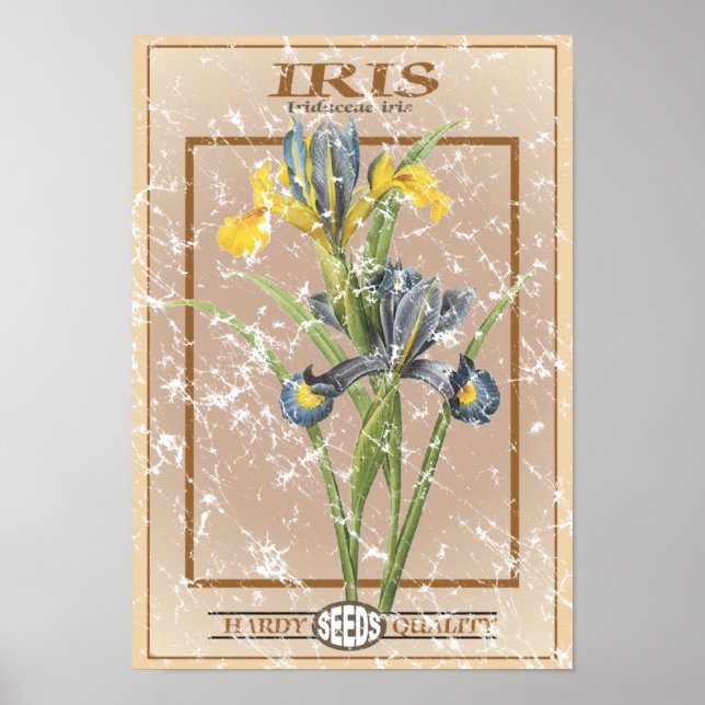 Iris seed packet - distressed poster (Front)