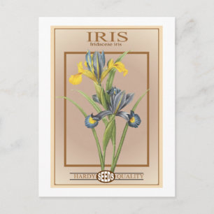 iris seed packet postcard