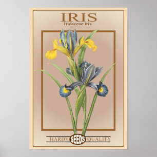 iris seed packet poster