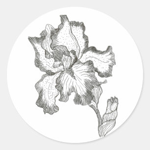 Iris sticker