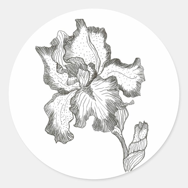 Iris sticker (Front)
